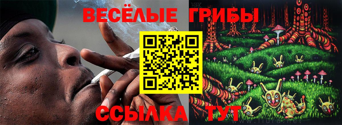 Псилоцибиновые грибы мицелий Ярославль