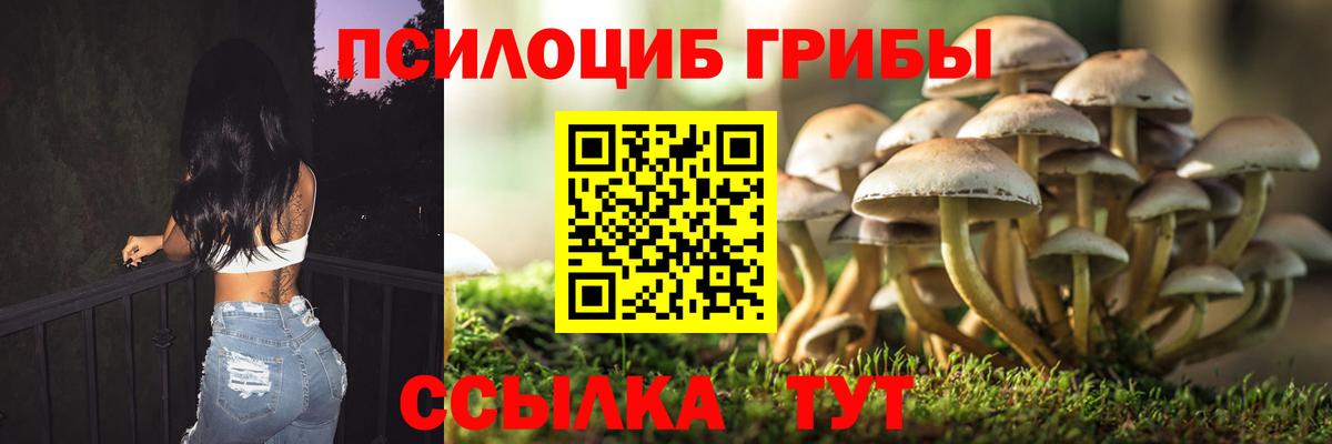 Галлюциногенные грибы Psilocybine cubensis  Вход с VPN  Ярославль  Псилоцибиновые грибы Psilocybe 